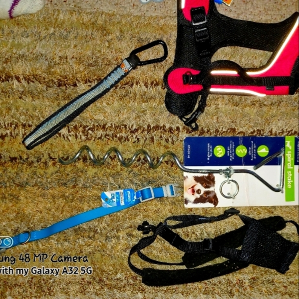 PET SUPPLIES FOR DOGS/CATS